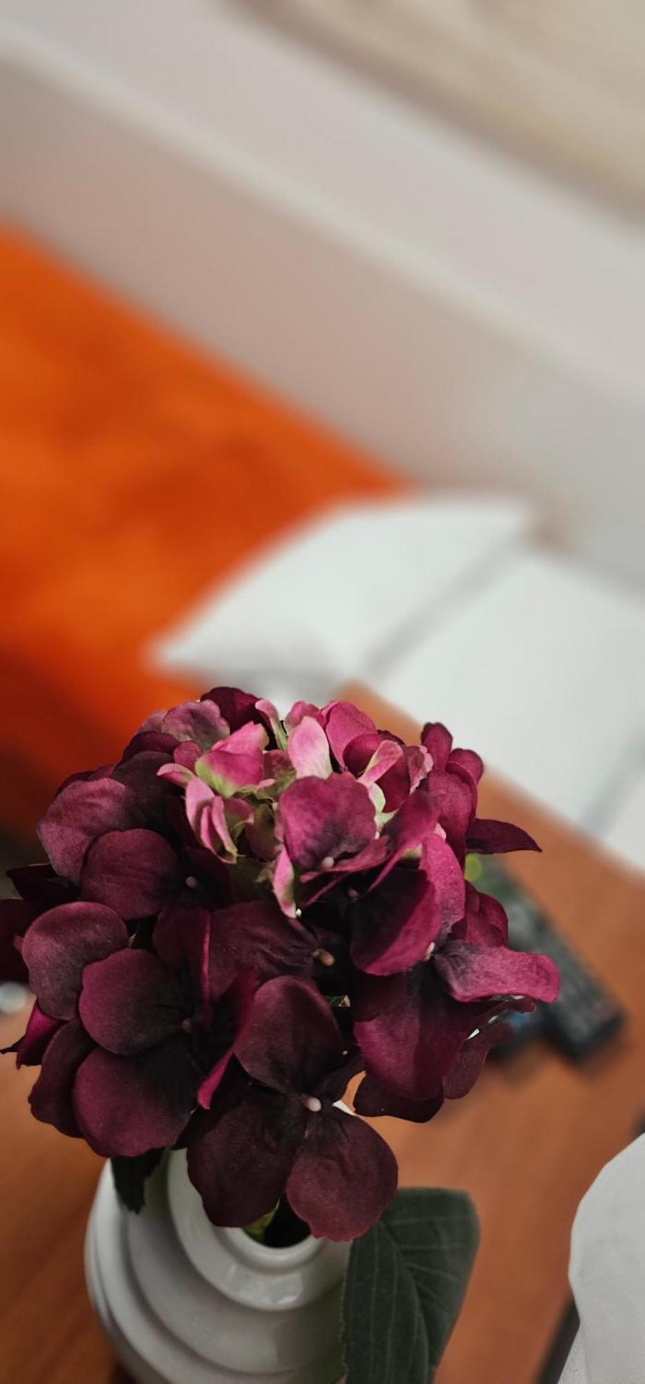 Sobe/Rooms Riva ซาดาร์ ภายนอก รูปภาพ